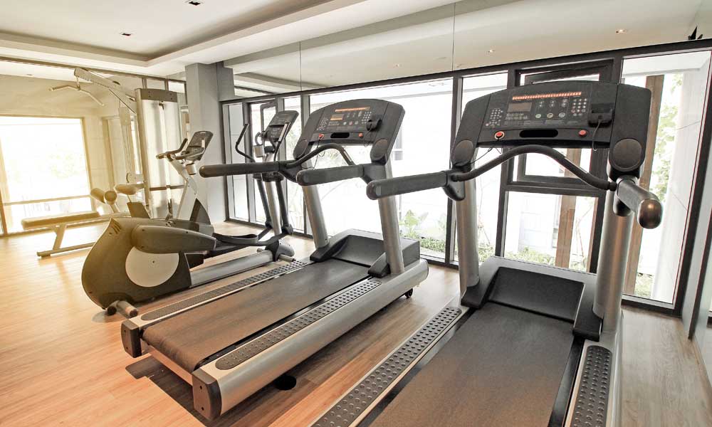 gymnew
